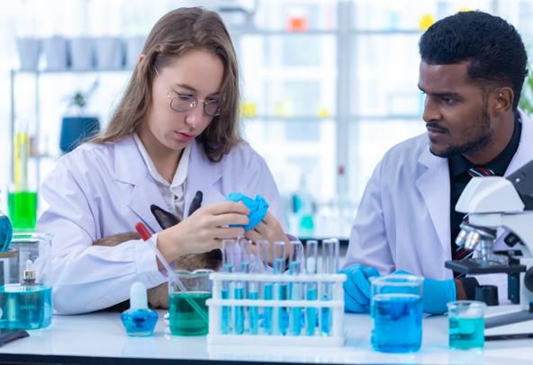 Scientist or pharmacist do research chemical ingredients test on animal in laboratory. rabbit in scientific lab experiment.