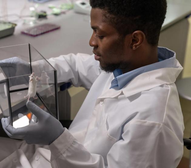 Black lab tech observing a rodent specimen in the lab.