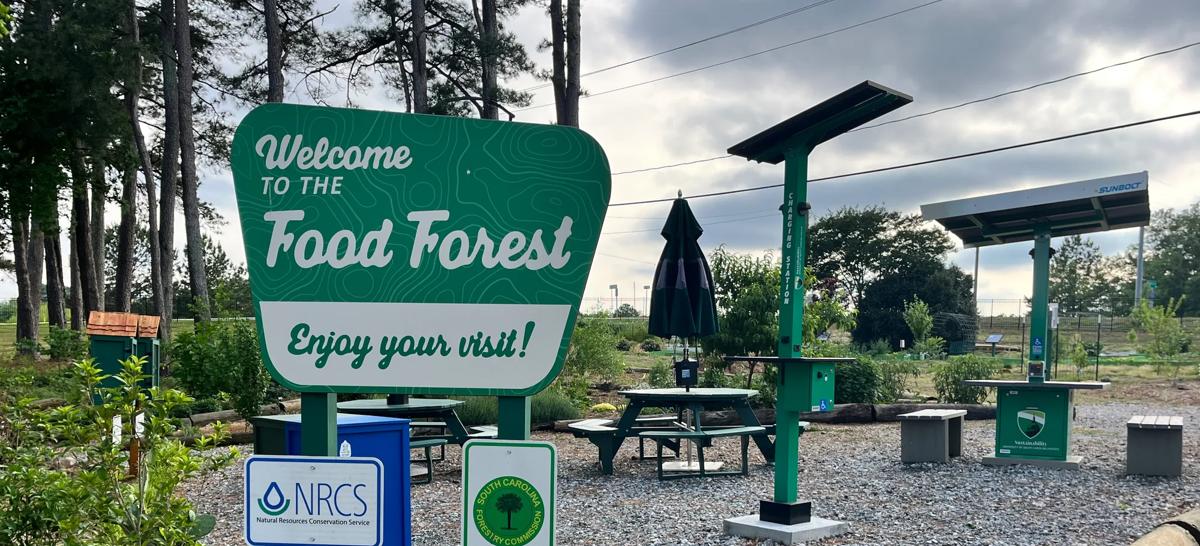 A sign welcomes visitors to the food forest started by Amanda Karls '26.
