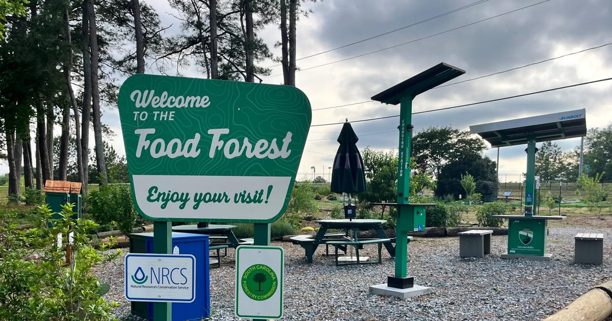 A sign welcomes visitors to the food forest started by Amanda Karls '26.