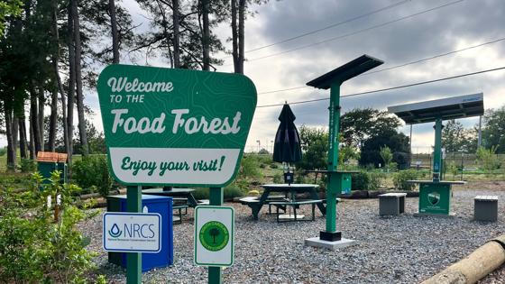 AmandaKarls_2026_PublicAdmin_2