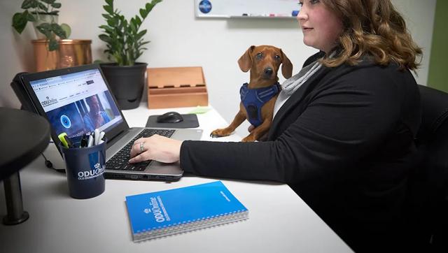 Woman works on her computer with a little dog nearby as she finishes college online