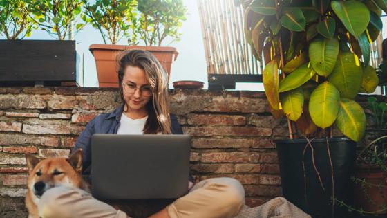 Positive young millennial girl with long hair sitting outdoor at home terrace with best friend dog working on distance using laptop, beautiful student girl having online video meeting via computer